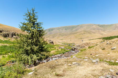 田北俊议员山在阿拉木图总成高原