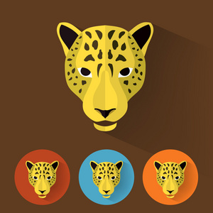 动物的画像与平面设计   豹