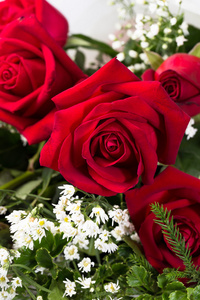 红色荷兰玫瑰花束