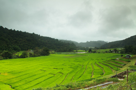 梯田