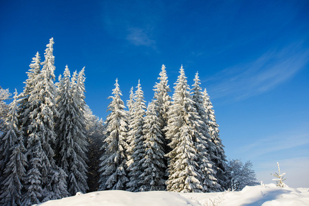 雪山