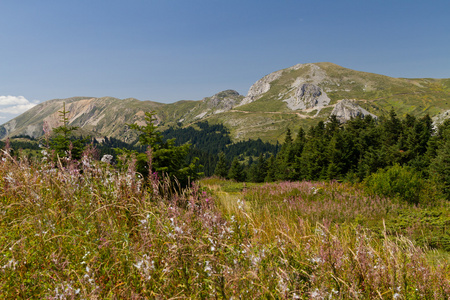 ilgaz 山脉，努土耳其