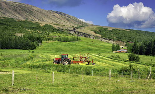绿色与一辆拖拉机在高山草甸