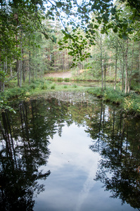 国家公园, 爱沙尼亚