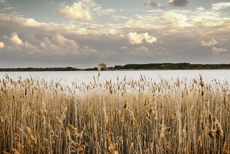 Maremma 湖