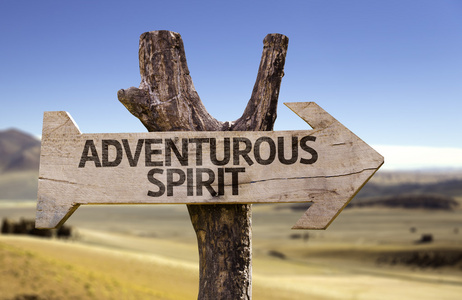 冒险精神木牌照片