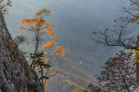 山风景