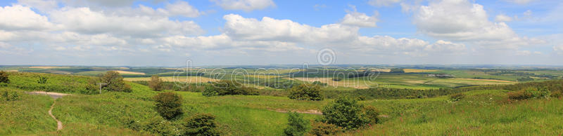 英国 地平线 国家 天空 农业 牧场 花茎 乡村 自然 田园诗