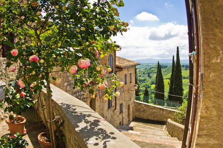 阳台上的玫瑰，圣吉米尼亚诺的城市景观，背景是托斯卡纳的风景
