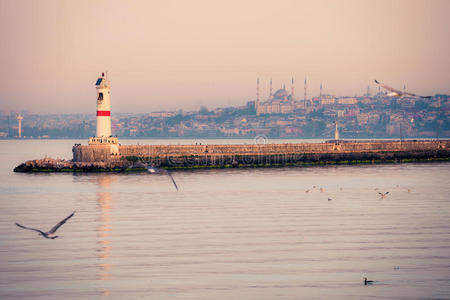 伊斯坦布尔 码头 城市景观 全景图 建筑 城市 旅游业 亚洲