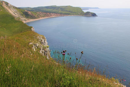 多塞特沃巴罗湾景观