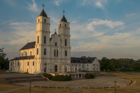 西克洛维亚图片