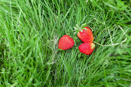 绿草上成熟的草莓