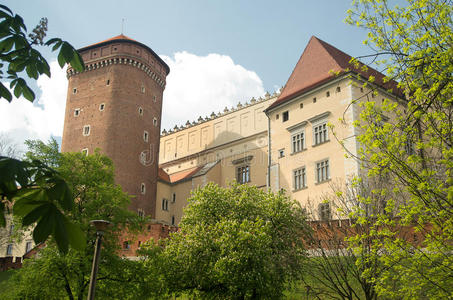 克拉科夫的瓦威尔城堡。