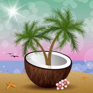海滩椰子