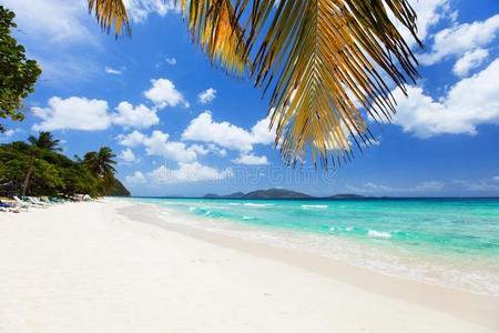 加勒比海美丽的热带海滩