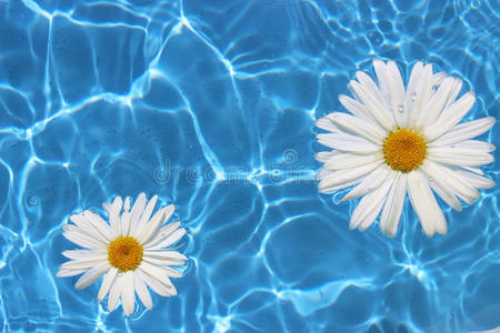 水中之花