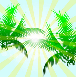 太阳 天空 射线 阳光 海滩 热带 自然 日落 旅行 求助