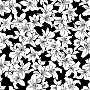 花朵黑白花朵无缝黑白图案照片
