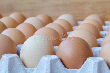 纸板托盘里鸡蛋的特写镜头