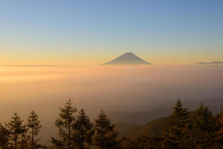 富士山清晨的云海