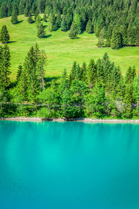 山湖美景。斯特格，欧洲利希滕斯坦的马尔本