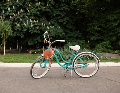 漂亮的复古绿色自行车架，上面挂着棕色的复古包，温暖，沉重