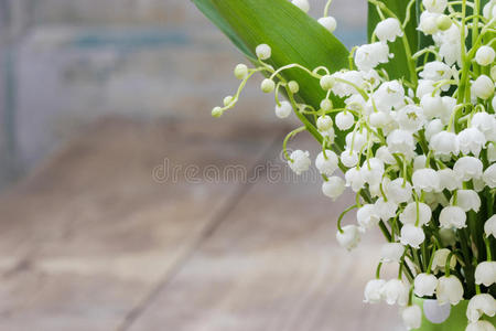 一束山谷百合花