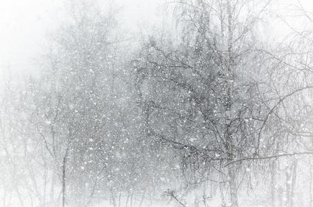 暴风雪