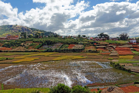 马达加斯加风景