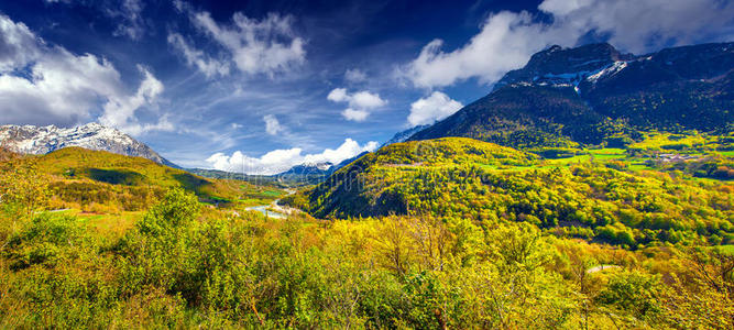 高山草甸的全景图。