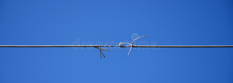 年轻的司机蓄电池跨接电缆充电电池电力电缆电线在彩色断线电缆铜线与