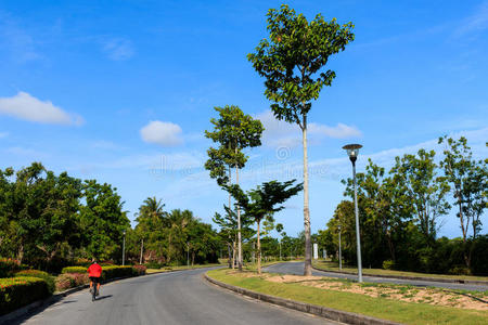 美丽的道路