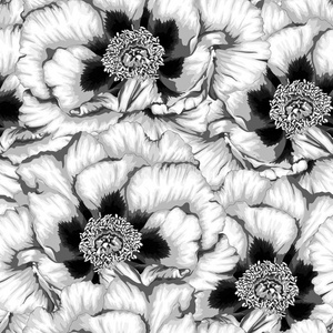 美丽的单色，黑白无缝背景与花卉植物牡丹牡丹。