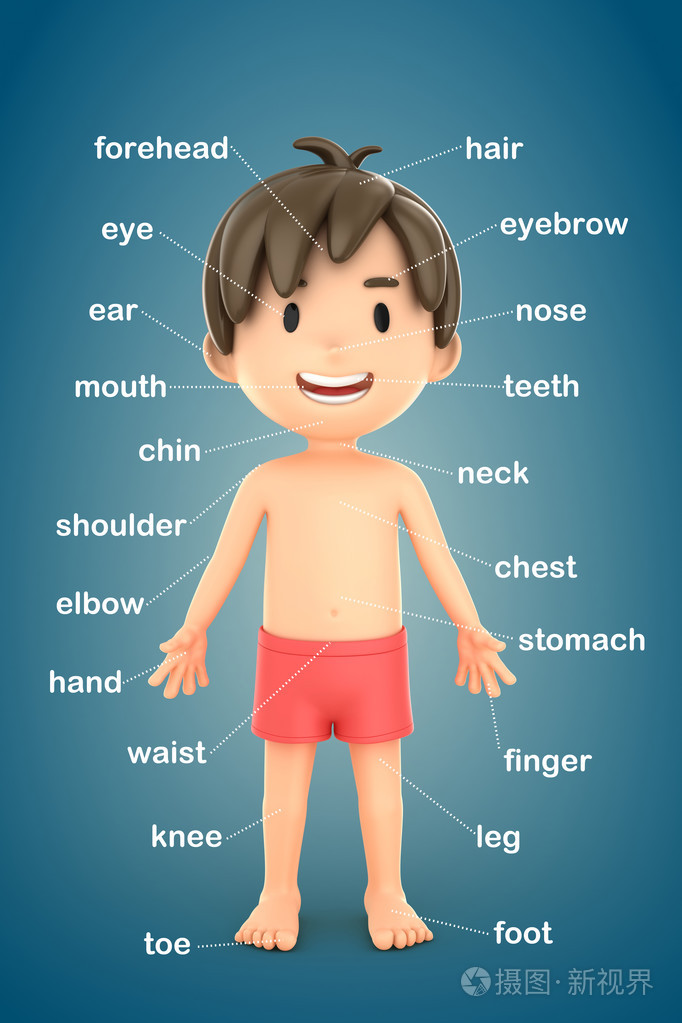 男孩表现出的身体部位