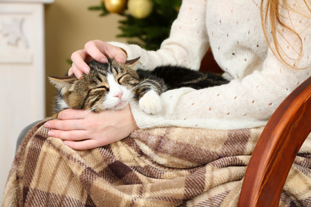 女人和可爱的猫咪坐在摇椅上在圣诞树上