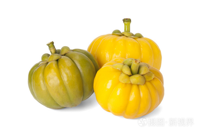藤黄果照片 正版商用图片1gzzj3 摄图新视界