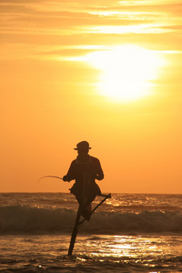 在落日，加勒，斯里兰卡的棍子渔夫的剪影