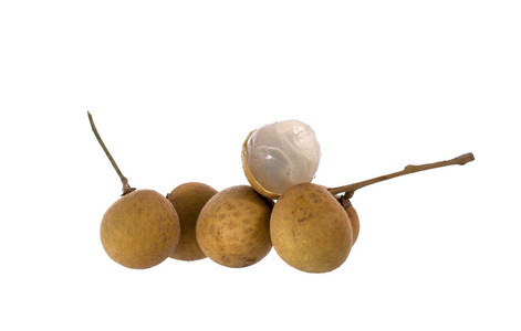   longan