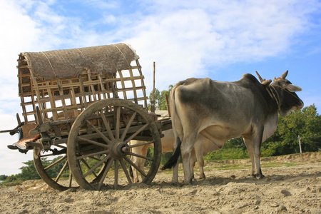 在 mingun,曼德勒地区,缅甸旅游出租车照片