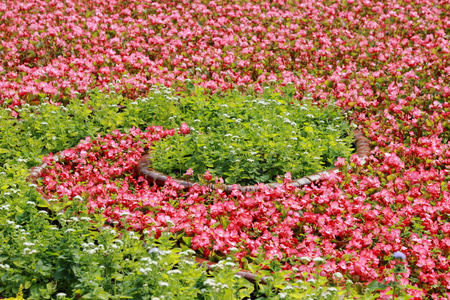 花背景