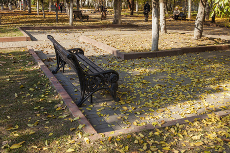 秋天公园里有落叶的长凳