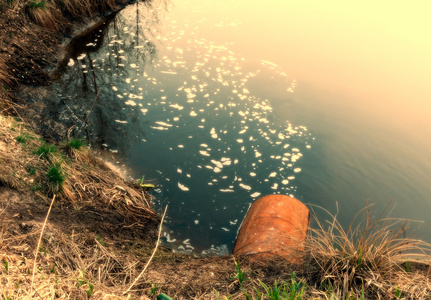 水污染工业污水或废水排入河流