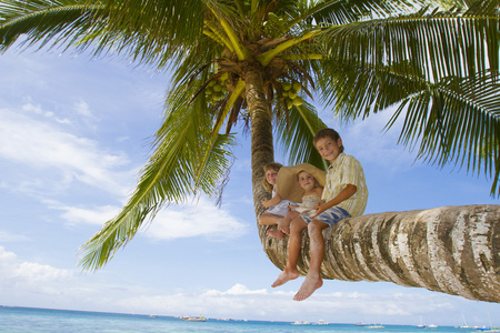三个孩子男孩和女孩坐在棕榈树上 tropica