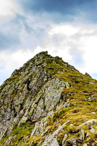 从 Fagaras 山的美丽夏日风景