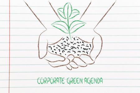 绿色经济概念，双手拿新植物