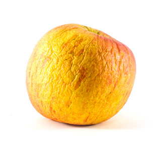 树枯萎枯萎的苹果树照片