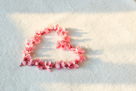 樱花或樱桃花在心的形状