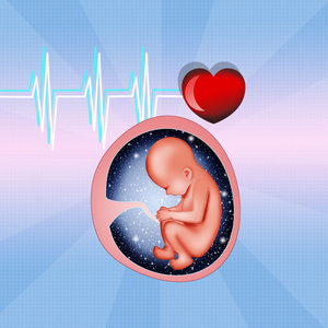 胎儿在子宫里