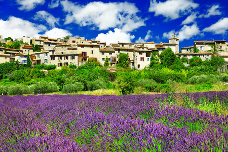 风景的普罗旺斯Saignon 村庄和薰衣草字段的视图